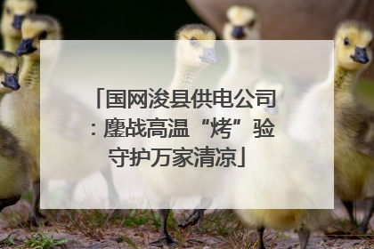 国网浚县供电公司：鏖战高温“烤”验 守护万家清凉