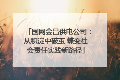 国网金昌供电公司：从积淀中破茧 蝶变社会责任实践新路径