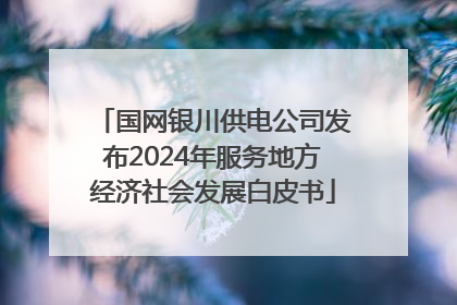 国网银川供电公司发布2024年服务地方经济社会发展白皮书