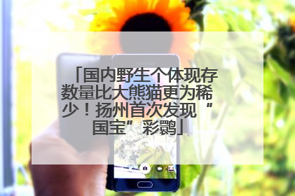国内野生个体现存数量比大熊猫更为稀少！扬州首次发现“国宝”彩鹮