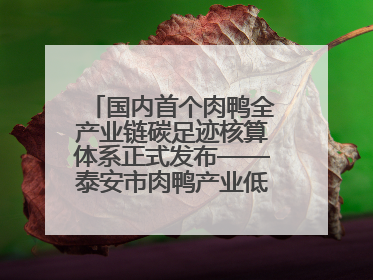 国内首个肉鸭全产业链碳足迹核算体系正式发布——泰安市肉鸭产业低碳发展标准示范项目顺利通过验收