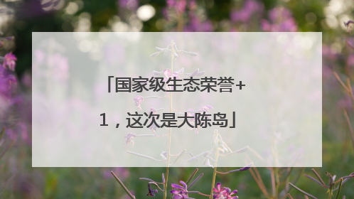国家级生态荣誉+1，这次是大陈岛