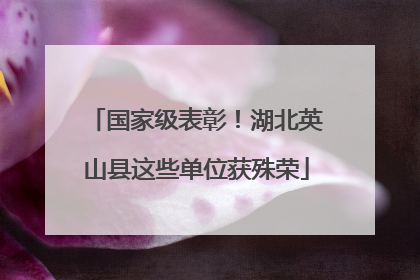 国家级表彰！湖北英山县这些单位获殊荣