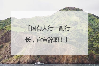 国有大行一副行长，官宣辞职！