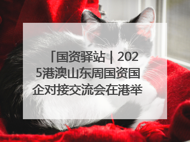 国资驿站｜2025港澳山东周国资国企对接交流会在港举行；山东黄金成功在境外发行3亿美元绿色债券