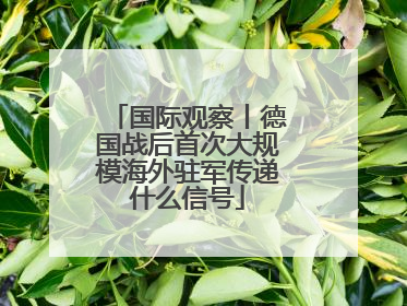 国际观察丨德国战后首次大规模海外驻军传递什么信号