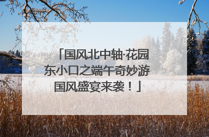 国风北中轴·花园东小口之端午奇妙游国风盛宴来袭！