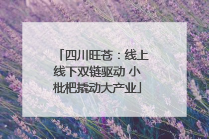 四川旺苍：线上线下双链驱动 小枇杷撬动大产业