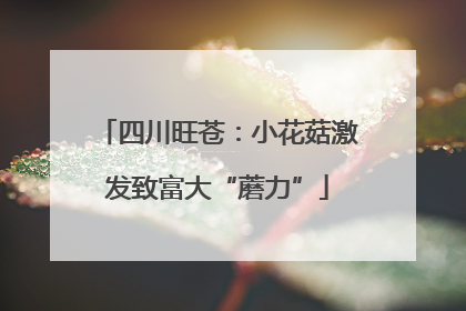 四川旺苍：小花菇激发致富大“蘑力”