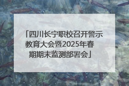 四川长宁职校召开警示教育大会暨2025年春期期末监测部署会