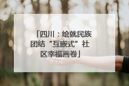四川：绘就民族团结“互嵌式”社区幸福画卷
