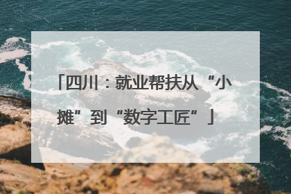 四川：就业帮扶从“小摊”到“数字工匠”