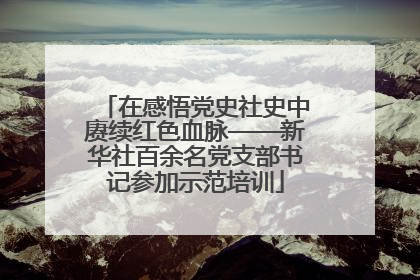 在感悟党史社史中赓续红色血脉——新华社百余名党支部书记参加示范培训