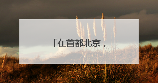 在首都北京，赴一场与月季的“倾城之约”