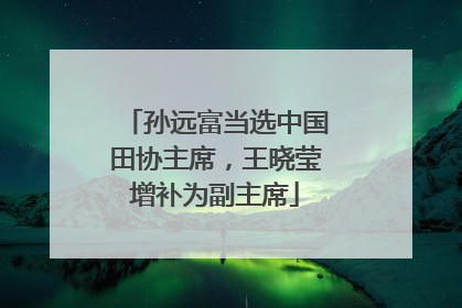 孙远富当选中国田协主席，王晓莹增补为副主席