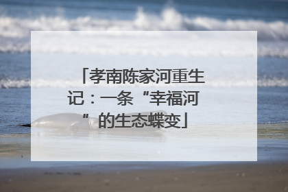 孝南陈家河重生记：一条“幸福河”的生态蝶变