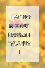 孟柏伸个展 揭幕呼和浩特西贝当代艺术馆
