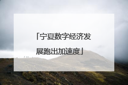 宁夏数字经济发展跑出加速度