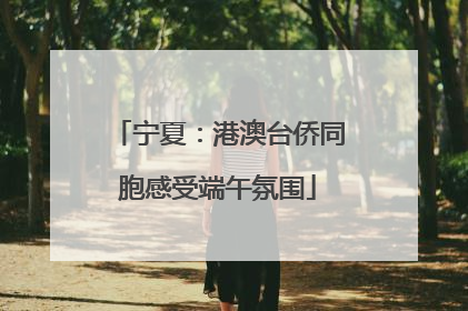宁夏：港澳台侨同胞感受端午氛围