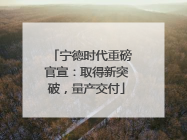 宁德时代重磅官宣：取得新突破，量产交付