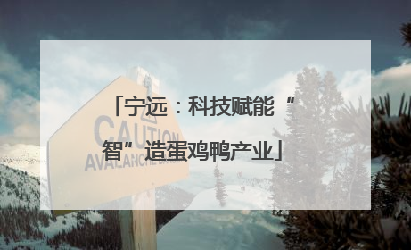 宁远：科技赋能“智”造蛋鸡鸭产业