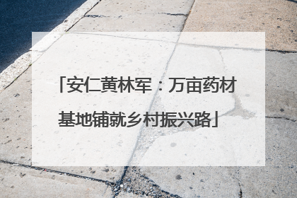 安仁黄林军：万亩药材基地铺就乡村振兴路