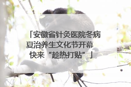 安徽省针灸医院冬病夏治养生文化节开幕 快来“趁热打贴”