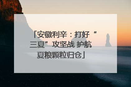 安徽利辛：打好“三夏”攻坚战 护航夏粮颗粒归仓