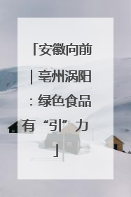 安徽向前｜亳州涡阳：绿色食品有“引”力