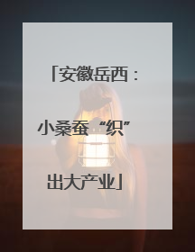 安徽岳西：小桑蚕“织”出大产业