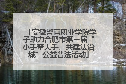 安徽警官职业学院学子助力合肥市第三届“小手牵大手、共建法治城”公益普法活动