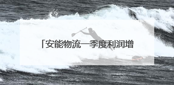 安能物流一季度利润增近16%，关税带来的进出口商流波动影响有限