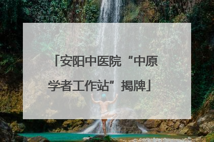 安阳中医院“中原学者工作站”揭牌