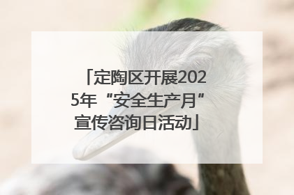 定陶区开展2025年“安全生产月”宣传咨询日活动