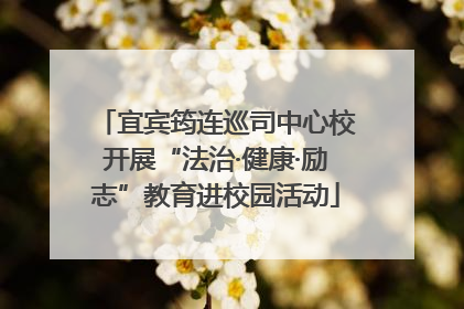 宜宾筠连巡司中心校开展“法治·健康·励志”教育进校园活动
