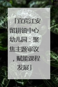 宜宾江安留耕镇中心幼儿园：聚焦主题审议，赋能课程发展