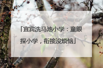 宜宾洗马池小学：童眼探小学，衔接没烦恼