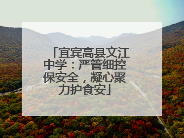 宜宾高县文江中学：严管细控保安全，凝心聚力护食安