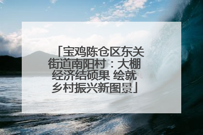 宝鸡陈仓区东关街道南阳村：大棚经济结硕果 绘就乡村振兴新图景