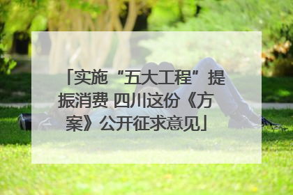 实施“五大工程”提振消费 四川这份《方案》公开征求意见