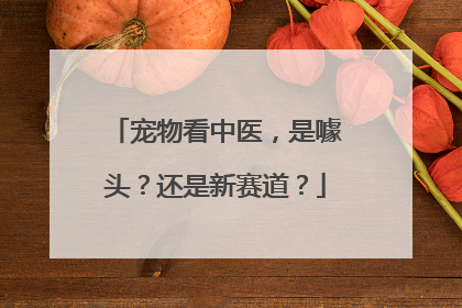 宠物看中医，是噱头？还是新赛道？
