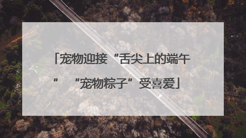 宠物迎接“舌尖上的端午” “宠物粽子”受喜爱
