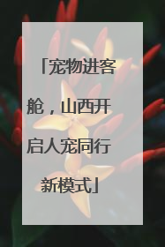 宠物进客舱，山西开启人宠同行新模式