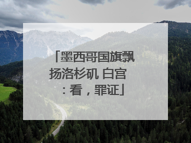 墨西哥国旗飘扬洛杉矶 白宫：看，罪证