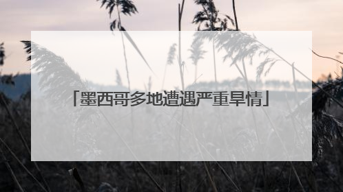 墨西哥多地遭遇严重旱情