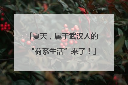 夏天，属于武汉人的“荷系生活”来了！