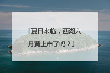 夏日来临，西湖六月黄上市了吗？