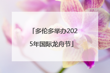 多伦多举办2025年国际龙舟节
