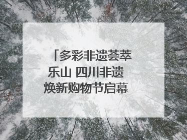 多彩非遗荟萃乐山 四川非遗焕新购物节启幕｜镜观四川