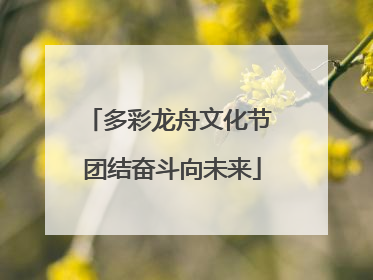 多彩龙舟文化节 团结奋斗向未来